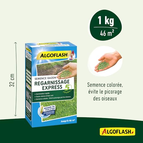 Algoflash Seme Prato Guardnissage Express 5 Giorni, 1 Kg, SEMEX1, Blu - 4