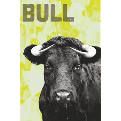 BULL #13