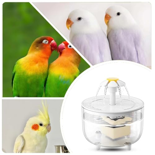 Image of Bird Bath for Indoor Parrots Parrot Bird Bathtub Circulating Filter Fountain Cage Birdbath for Canary, Love Bird, Goldfinch Parrot Small Medium Feathered Pet (Transparent + White, S)