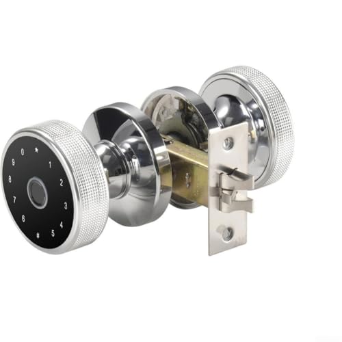Cerradura de puerta inteligente con contraseña de huellas dactilares y control de aplicaciones para apartamento para uso de villa de hotel y visitante temporal (plata)