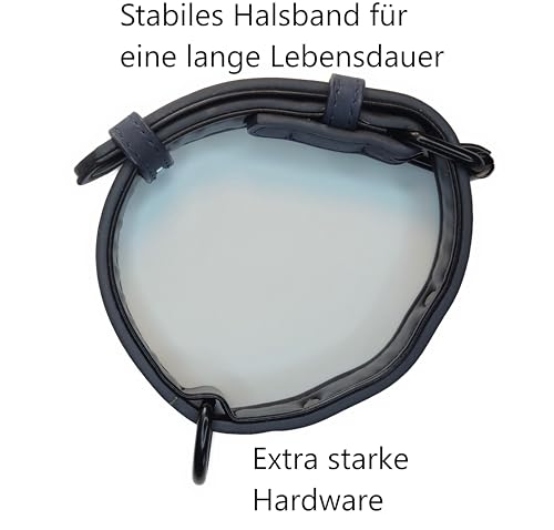 Jacks O Be Hundehalsband Halsband Name Gravur personalisiert Haustier Hund Katze Leder (Blau, M)