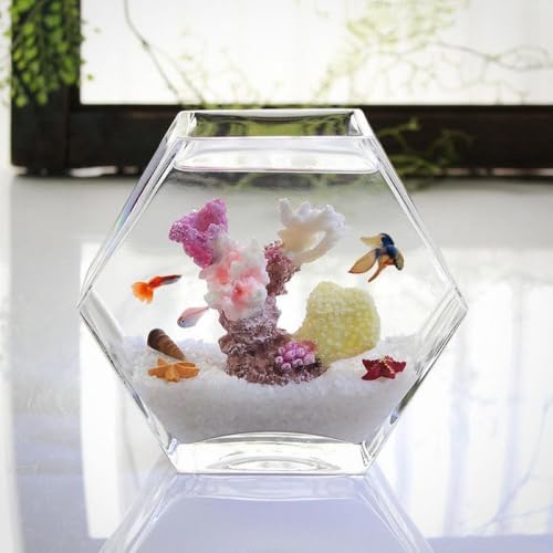 AOBOPOZp` KX  + ؐCg  _JEۃeEEk͔|p