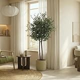 BLAINE | Olivo 150cm | Plantas Artificiales Decorativas | Planta Artificial Grande | Plantas Artificiales para Interior/Exterior | Planta Artificial Realista Decorativa para Casa
