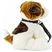 Carl Dick Peluche Perro Jack Russell Terrier Felpa con Correa Imagen de Carl Dick Peluche Perro Jack Russell Terrier Felpa con Correa