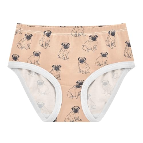 Girls Underwear Soft Cotton Pugs Kids Panties in Sizes 2/3t, 4t, 5t, 6 and 8