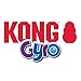 KONG Gyro - Interactive Dog Toy for Treat Dispensing - Dog Slow Feeder for Healthy Eating - for Small Dogs
