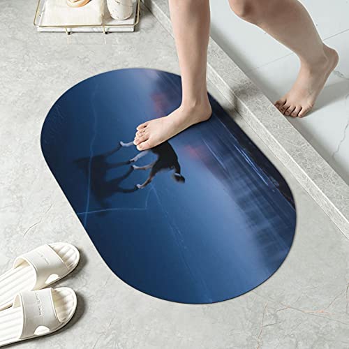 Tapis de bain Husky super absorbant et séchage rapide pour sol sec - 4