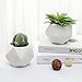 MyGift 5 Inch White Ceramic Plant Pots with Drainage, Mini Geometric Faceted Cactus Succulent Planter, Set of 2
