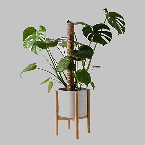 Image of Garden Art 90cm Tall Bendable Moss Stick /Coir Pole for Plants Monstera, Coco Coir Moss Poles for Climbing Plants | Plant Support Extension to Grow Upwards GABCP-90 (90cm Pack of 2)