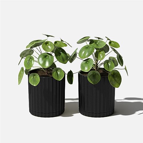 Image of Veradek Demi Series Demi 6 inch Planter w /Tray - Black, 2 Pack