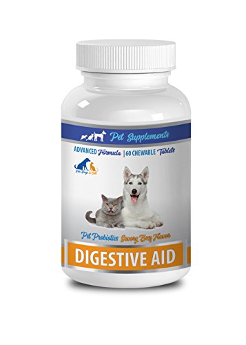Digestive aid for Cats - Pet Digestive Aid - Probiotics - for Dogs and Cats - Chewable - acidophilus for Cats - 1 Bottle (60 Chews)