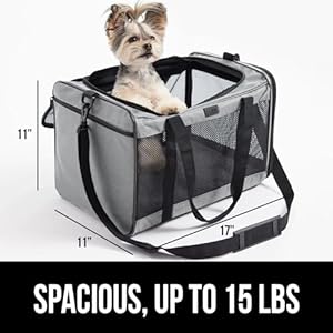 GORILLA GRIP Airline Travel Cat Carrier Bag Up to 15 Lbs, Breathable Mesh Collapsible Pet Carriers for Small, Medium Cats, Small Dogs, Puppies, Portable Kennel with Soft Washable Waterproof Pad Gray GORILLA GRIP Airline Travel Cat Carrier Bag Up to 15 Lbs Breathable Mesh Collapsible Pet Carriers for Small Medium Cats Small Dogs Puppies Portable Kennel with Soft Washable Waterproof Pad Gray