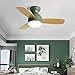 FJUAN Wentylator sufitowy światło 42" Silnik DC 3 kolory ściemniania 5 prędkości Wentylator sufitowy światła z timerem Dwukierunkowe obroty Drewniana łopatka wentylatora