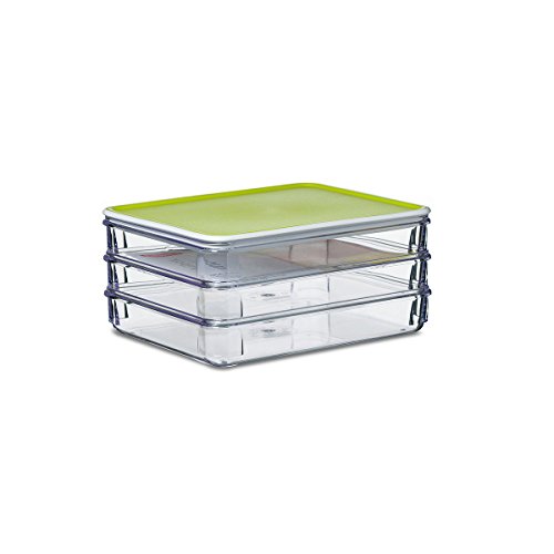 Rosti Mepal Modul 163/3 - Caja Para Fiambre, Estireno acrilonitrilo, Polietileno, 19 x 15,5 x 8,8 cm, verde
