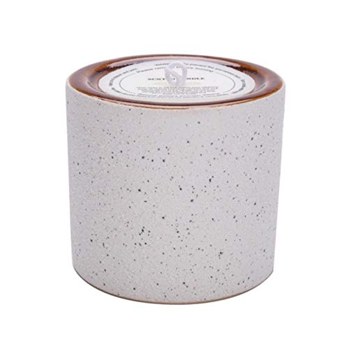 Bougie parfumée jacinthe vanille crème en cire de soja dépolie L