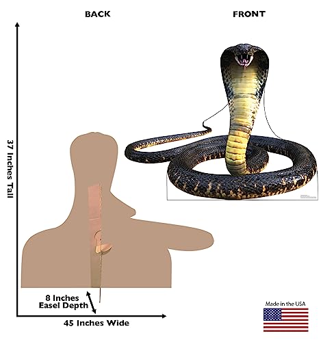 Image of Cardboard People King Cobra Snake Life Size Cardboard Cutout Standup - Made in USA