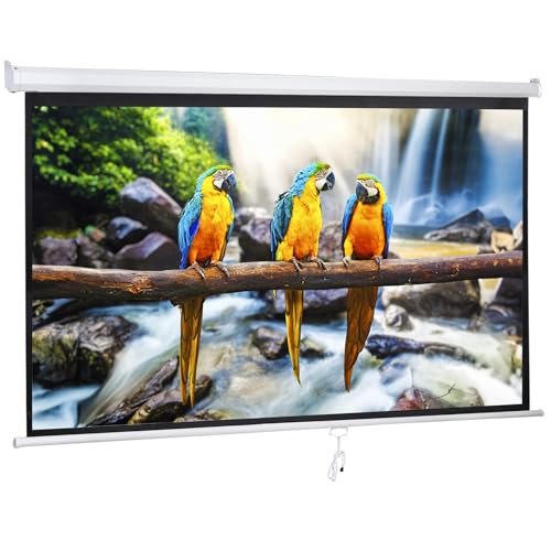 Saicool 120 Inch Projection Screen Outdoor Indoor 1:1 HD Foldable Manual Pull Down Projector Screen for Movie Home Backyard Theater Cinema Office Video Game White