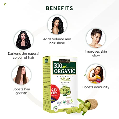 Image of INDUS VALLEY 100% Bio Organic Amla Powder (Indian Gooseberry Powder) Phyllanthus emblica | Natural & Fresh For Healthy Hair - 200 gm