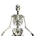 Home Accents 12 ft. Giant-Sized Skeleton with LifeEyes