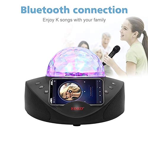 Altavoz Bluetooth inalámbrico LLD SD-308 con micrófonos duales para cantar sin cables 4