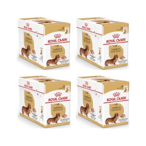 ROYAL CANIN Dachshund Adult Mousse | 4er Pack | 4 x 12 x 85 g | Alleinfuttermittel für Hunde | Ausgewachsene Dackel