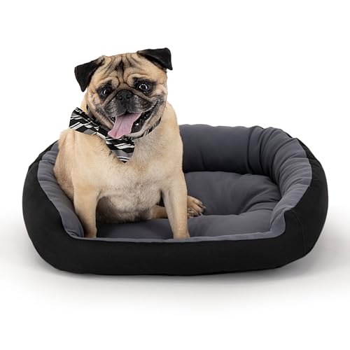 PETS APPAREL HILLS Cama para Perro, Resistente,...