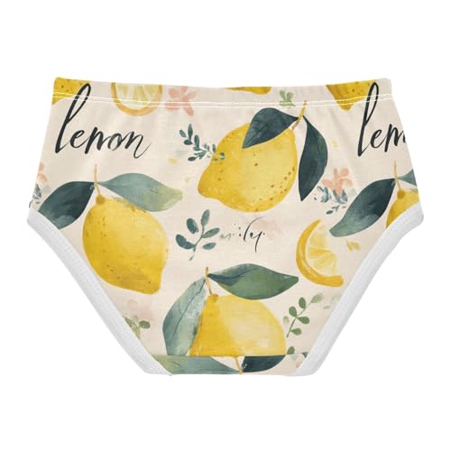 Wusikd Lemons Flowers Leaf Girls' Underwear Cotton Girls Briefs Soft Toddler Underwear 2T2