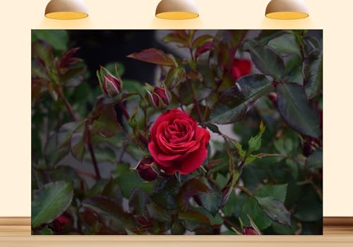 12X10ft Fabric Rose Flowers Backdrop Captivating Spring Blooming Floral Photography