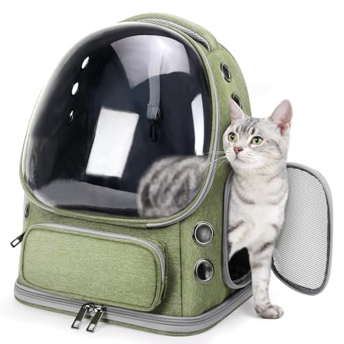 DICOCO L  L[ bN ybgL[ bN obO Lp ^Ep [obO bN e FDJvZ^ ʋC s ʉ@ h pœK