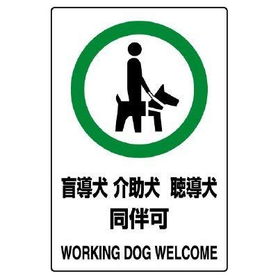 jbg ihrKioubXebJ[ ӓ PTOwPOO Tg 803-58