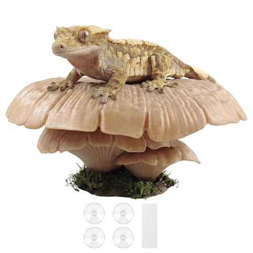 Mushroom Reptile Ledge & Terrarium Decor with 4 Suction Cups