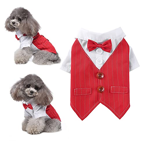 ���� �^�L�V�[�h �y�b�g�p �V���c �L�� �t�H ���l�N�^�C�t�� ���� �y�b�g �R�X�`���[�� ���p �V���c ������ ���j�� �p�[�e�B�[�p �����^���̂��߂̌��̃^�L�V�[�h������I���̃X�[�c (�w�k, ���b�h)