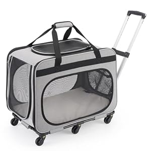 FASRIOU 2-in-1 Hunde Transportbox mit Rollen