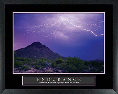 Motivational Wall Decor, Inspirational Home, Office, Classroom Posters (4 Pack) #TOP4