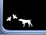 German Shorthair Pointer 2 Quail L448 8 inch shorthaired dog decal