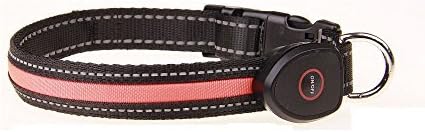 AllBright Led Dog Collar USB Rechargeable