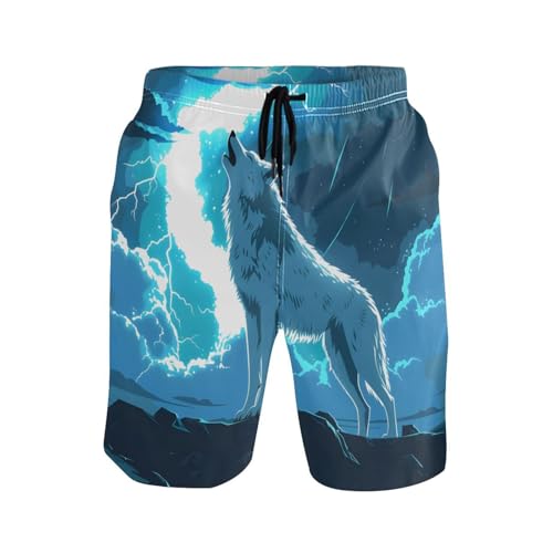 Men's Novelty Beach Shorts Wolf Blue Sky Wolves Swim Trunks Quick Dry Swimtrunks Mesh Lining Bathing Suit