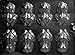 Frog Harry Potter Chocolate Mold A126