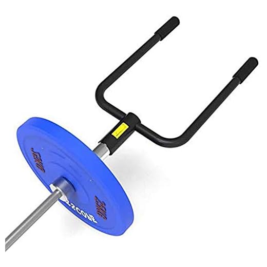 WYJW Axelpress landmina handtag, T-stång rad skivstång grepp, hem gym roddstång, barhandtag rodd baksida fäste, för skivstång Olympic 5 cm bar rygg gymfäste.