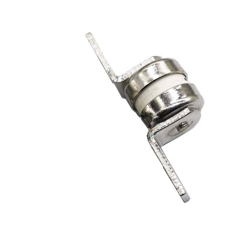 Zyvpee® RGS12 aR 500V~60A 75A 100A 110A 125A 135A 150A 160A 175A 185A Fuse (500V~60A)