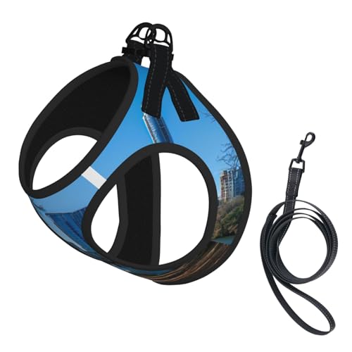 Austin Texas Print Step in Dog Harness and Leash Set,Mesh Pet Vest Harness for Small Dogs and Cats