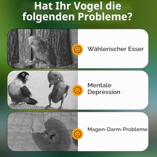 Nobleza Wellensittichfutter 500g, Vogelfutter für Wildvögel & Sittiche mit Früchten wie Papaya & Banane, Ausgewogenes Einzelfuttermittel für Ganzjährige Fütterung, Staubarm & Vitaminreich