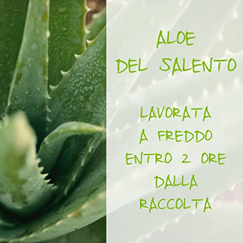 Omia, Crema Viso Eco Bio con Aloe Vera del
