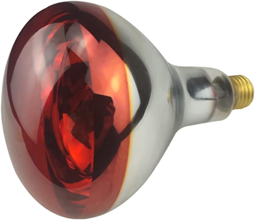 BONGBADA Heat Lamp Bulb R40 100 Watt 2 Pack Painted Red Infrared Glass Lamp Bulb for Food Service, Brooder Bulb, Chicks, Pet, Bathroom (Red Painted-1.0 Version, R40/175W)