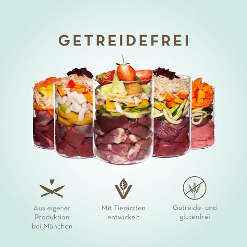 Terra Canis Wild, Kartoffel, Apfel & Preiselbeere - Getreidefreies Nassfutter, 6x400g I Premium Hundefutter in 100% Lebensmittelqualität Aller Rohstoffe I Reichhaltig, gesund & glutenfrei