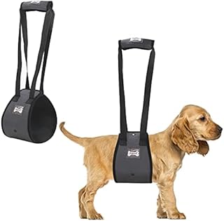 Dog Lift Harness Dog Support Sling Aid Mobility with Handle to Lift Pets Front Rear Legs for Senior Dog Weak Legs Surgery Rehabilitation (Gray, M)