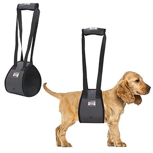 dog hip sling