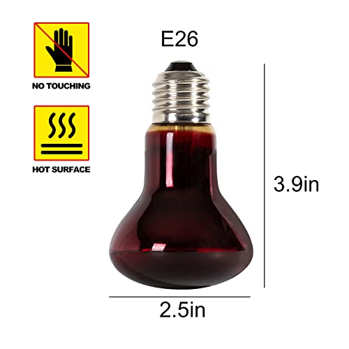 Reptizoo Reptile 2Pcs Infrared Heat Emitter 110V 75W Infrared Bulb For Reptile Pet Coop Moonlight Bulb And Glass Terrarium #TOP2