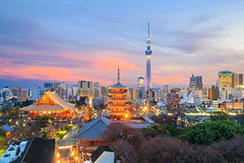 Tokyo Skytree Tokyo Japan City Skyline Illuminated at Sunset Photo Beach Palm Landscape Pictures Ocean Scenic Scenery Tropical Nature Photography Paradise Thick Paper Sign Print Picture 12x8