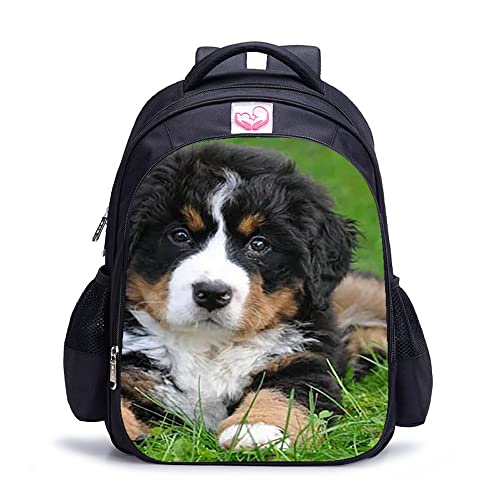 Sac à dos scolaire étudiant avec motif chien et dimensions de loisirs 41x28x12 cm